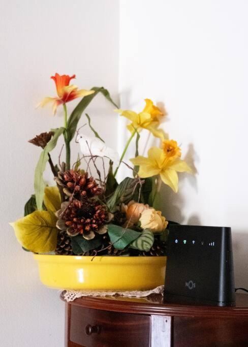 Charming Fatima House Apartment Ngoại thất bức ảnh